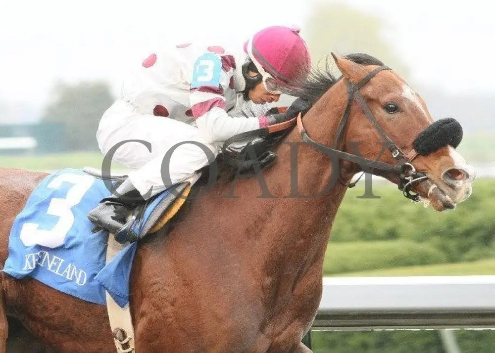 Highlight - 1 102811 Race 02 Keeneland