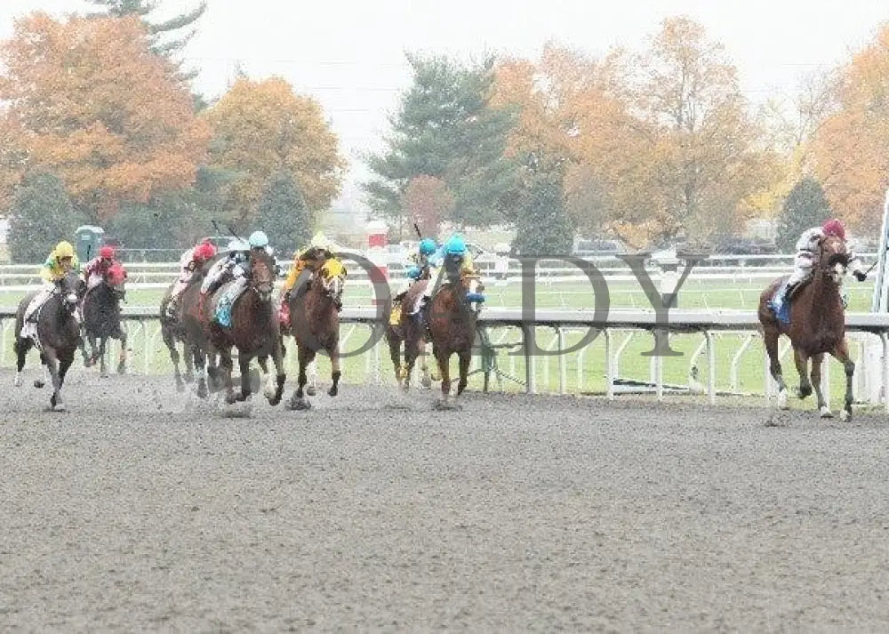 Highlight - 2 102811 Race 02 Keeneland