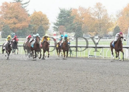 Highlight - 2 102811 Race 02 Keeneland