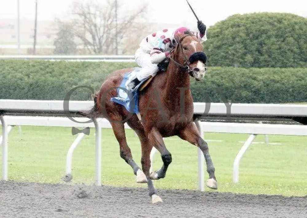 Highlight - 3 102811 Race 02 Keeneland