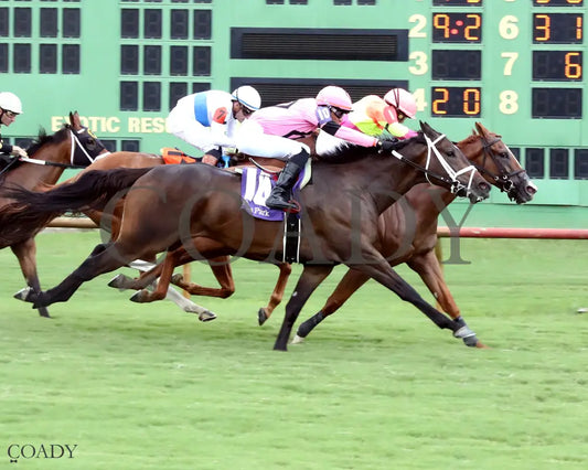 HIGHWAY ROBBER - 080325 - Race 07 - ELP - Finish 01 Ellis Park