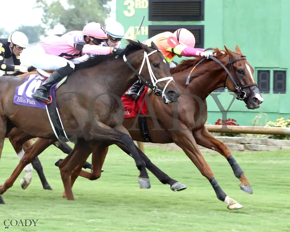 HIGHWAY ROBBER - 080325 - Race 07 - ELP - Finish 02 Ellis Park
