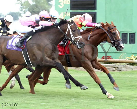 HIGHWAY ROBBER - 080325 - Race 07 - ELP - Finish 02 Ellis Park