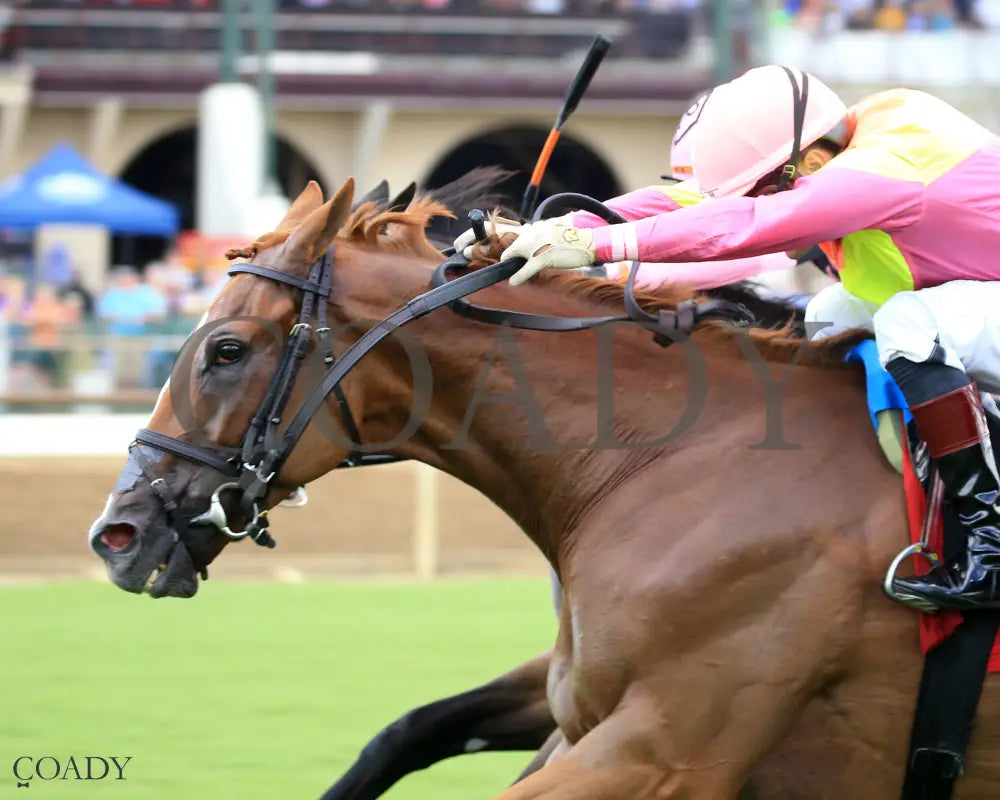 HIGHWAY ROBBER - 080325 - Race 07 - ELP - Inside Finish 01 Ellis Park