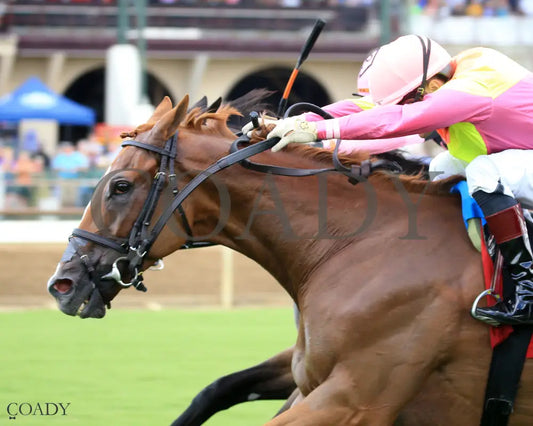 HIGHWAY ROBBER - 080325 - Race 07 - ELP - Inside Finish 01 Ellis Park
