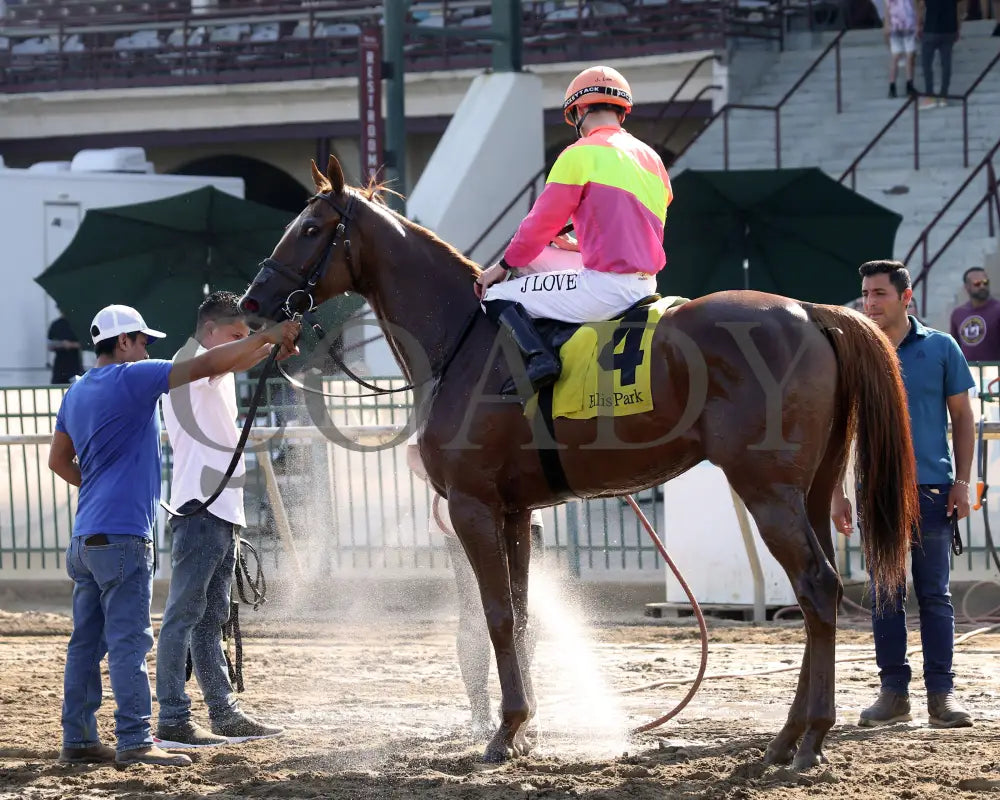 Highway Robber - Ky Downs Preview Turf Cup 6Th Running 08-04-24 R10 Elp Come Back 01 Ellis Park