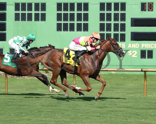 Highway Robber - Ky Downs Preview Turf Cup 6Th Running 08-04-24 R10 Elp Finish 01 Ellis Park