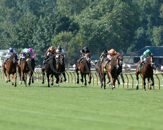 Highway Robber - Ky Downs Preview Turf Cup 6Th Running 08-04-24 R10 Elp Head On 01 Ellis Park