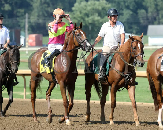 Highway Robber - Ky Downs Preview Turf Cup 6Th Running 08-04-24 R10 Elp Post Parade 01 Ellis Park