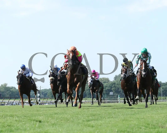 Highway Robber - Ky Downs Preview Turf Cup 6Th Running 08-04-24 R10 Elp Under Rail 01 Ellis Park