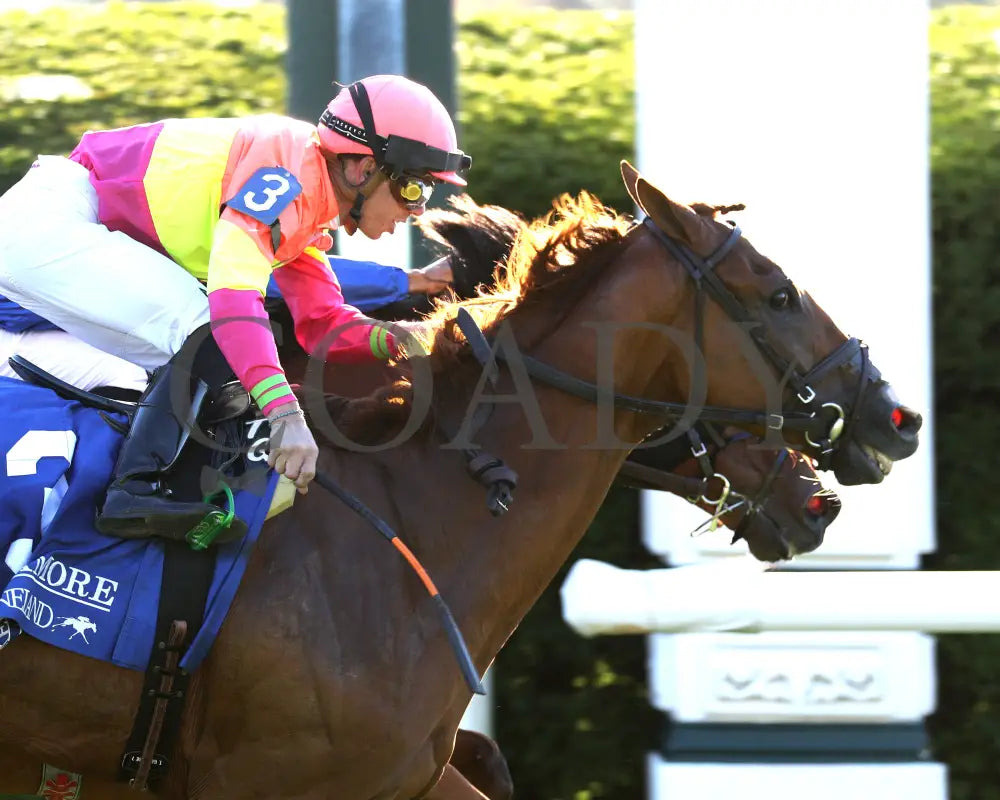 Highway Robber - The Sycamore G3 30Th Running 10-11-24 R09 Kee Finish 02 Keeneland