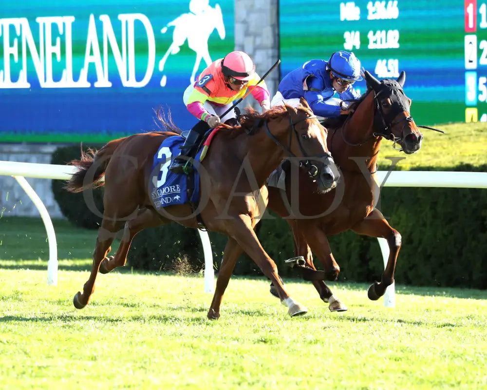 Highway Robber - The Sycamore G3 30Th Running 10-11-24 R09 Kee Finish 03 Keeneland