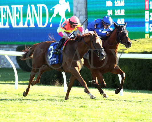 Highway Robber - The Sycamore G3 30Th Running 10-11-24 R09 Kee Finish 03 Keeneland