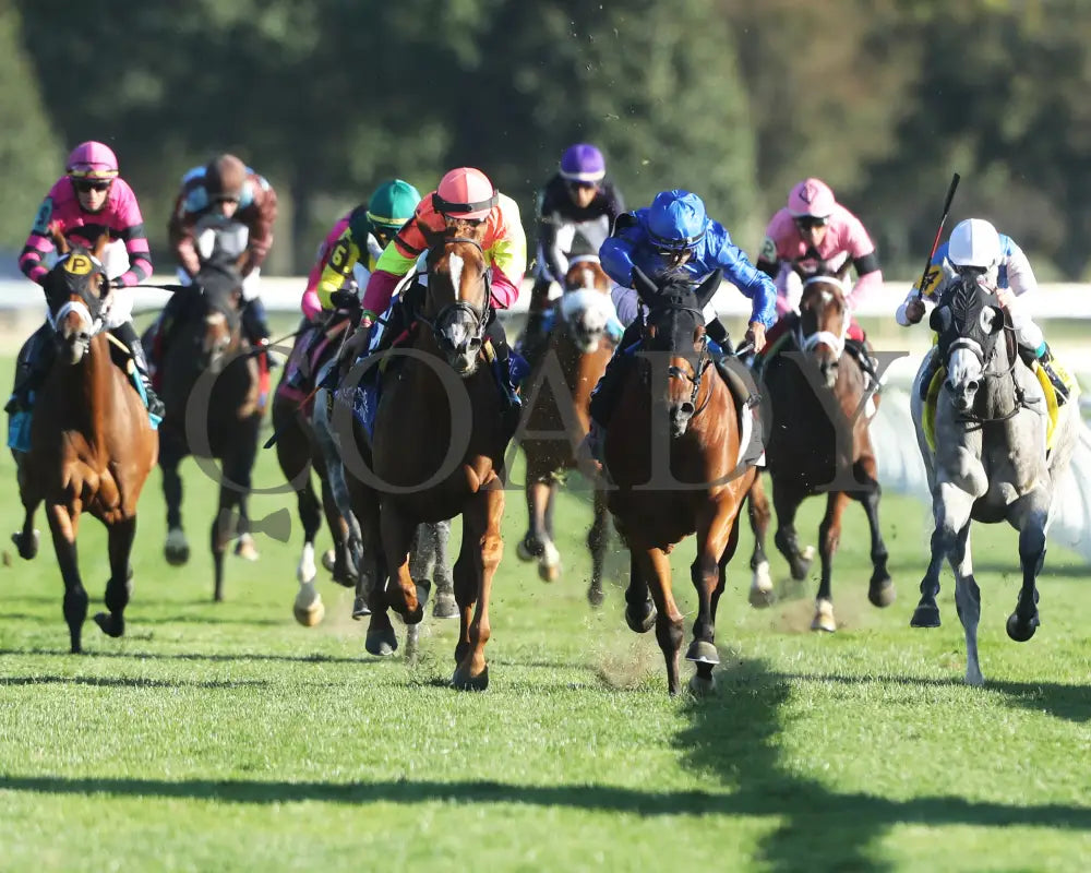 Highway Robber - The Sycamore G3 30Th Running 10-11-24 R09 Kee Head On 01 Keeneland