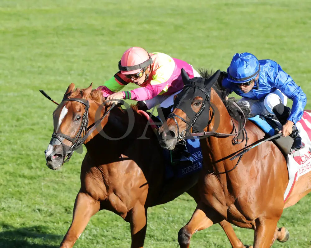 Highway Robber - The Sycamore G3 30Th Running 10-11-24 R09 Kee Inside Finish 01 Keeneland