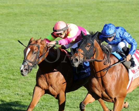 Highway Robber - The Sycamore G3 30Th Running 10-11-24 R09 Kee Inside Finish 01 Keeneland
