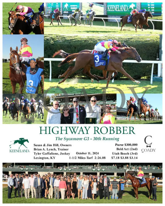 Highway Robber - The Sycamore G3 30Th Running 10-11-24 R09 Kee Keeneland