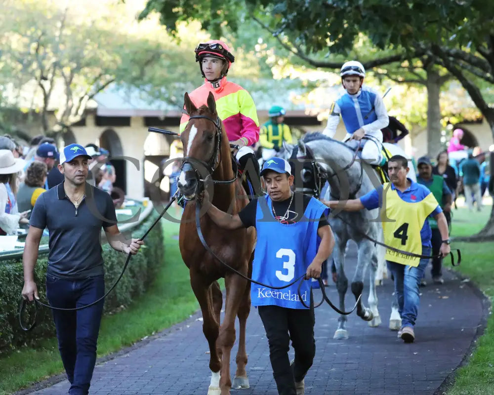 Highway Robber - The Sycamore G3 30Th Running 10-11-24 R09 Kee Paddock 01 Keeneland