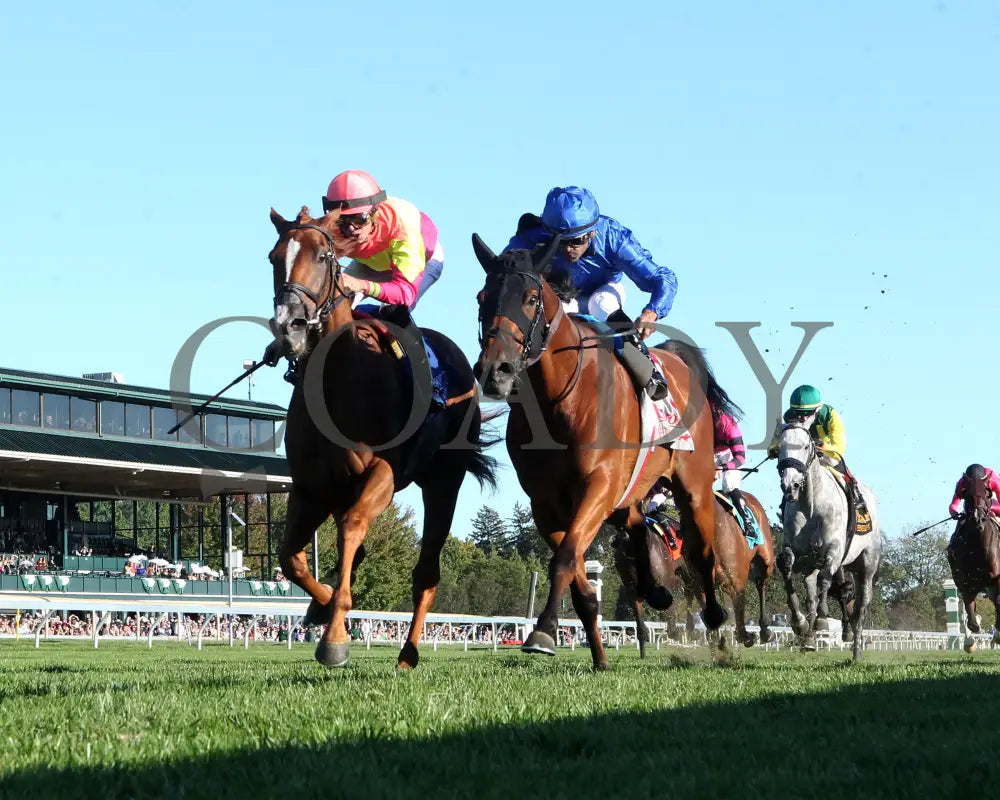Highway Robber - The Sycamore G3 30Th Running 10-11-24 R09 Kee Under Rail 01 Keeneland