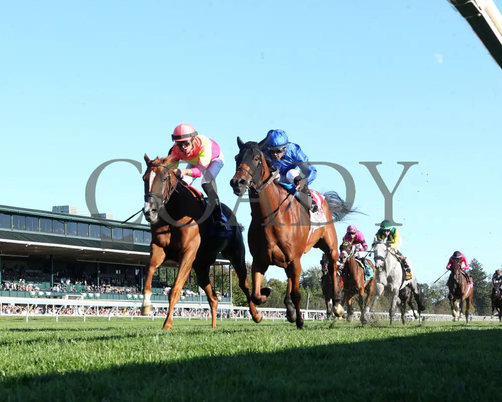 Highway Robber - The Sycamore G3 30Th Running 10-11-24 R09 Kee Under Rail 02 Keeneland