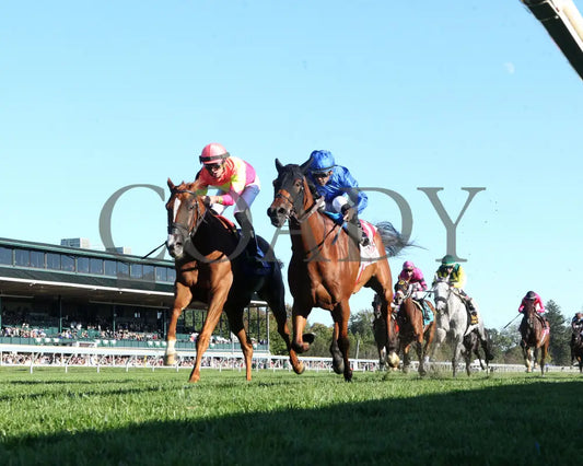 Highway Robber - The Sycamore G3 30Th Running 10-11-24 R09 Kee Under Rail 02 Keeneland