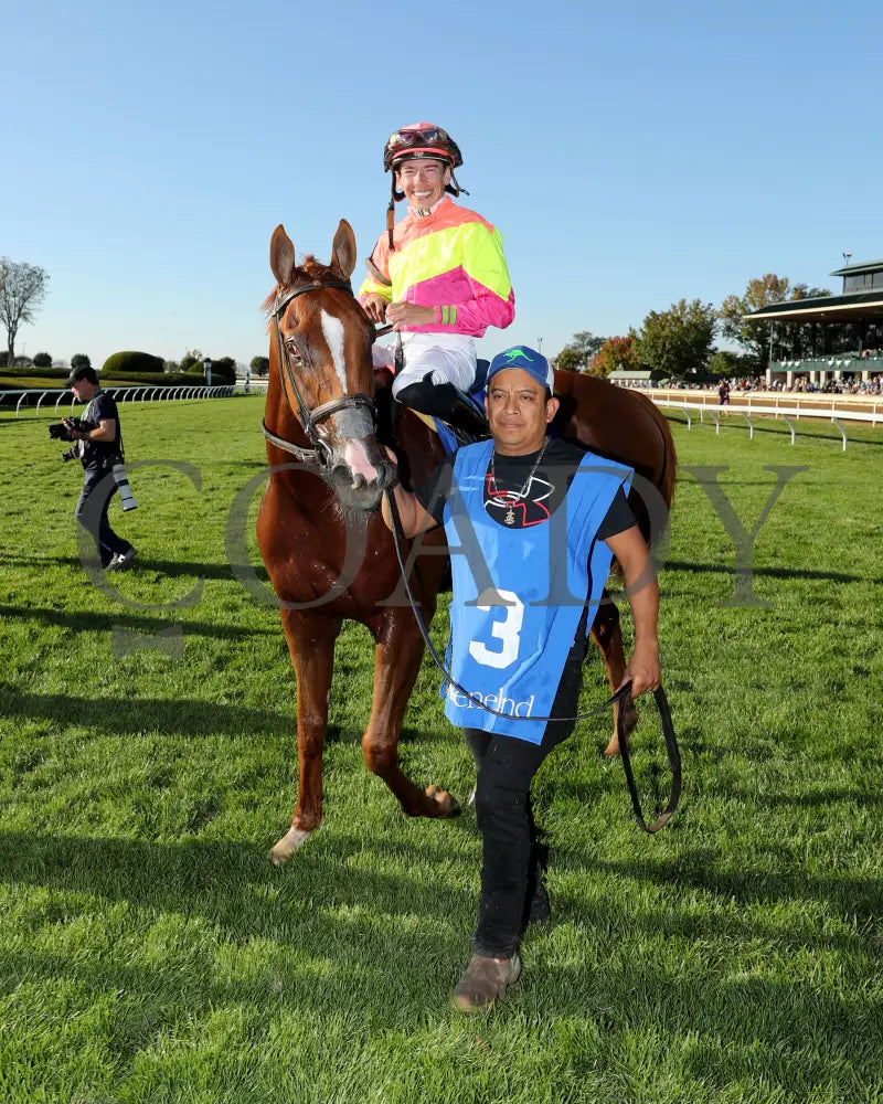Highway Robber - The Sycamore G3 30Th Running 10-11-24 R09 Kee Walk In 01 Keeneland