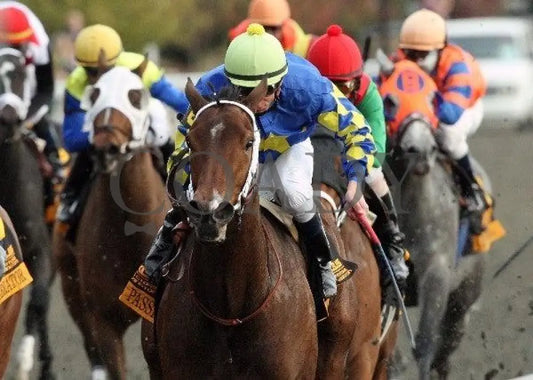 Hilda’s Passion - The Lexus Raven Run Keeneland