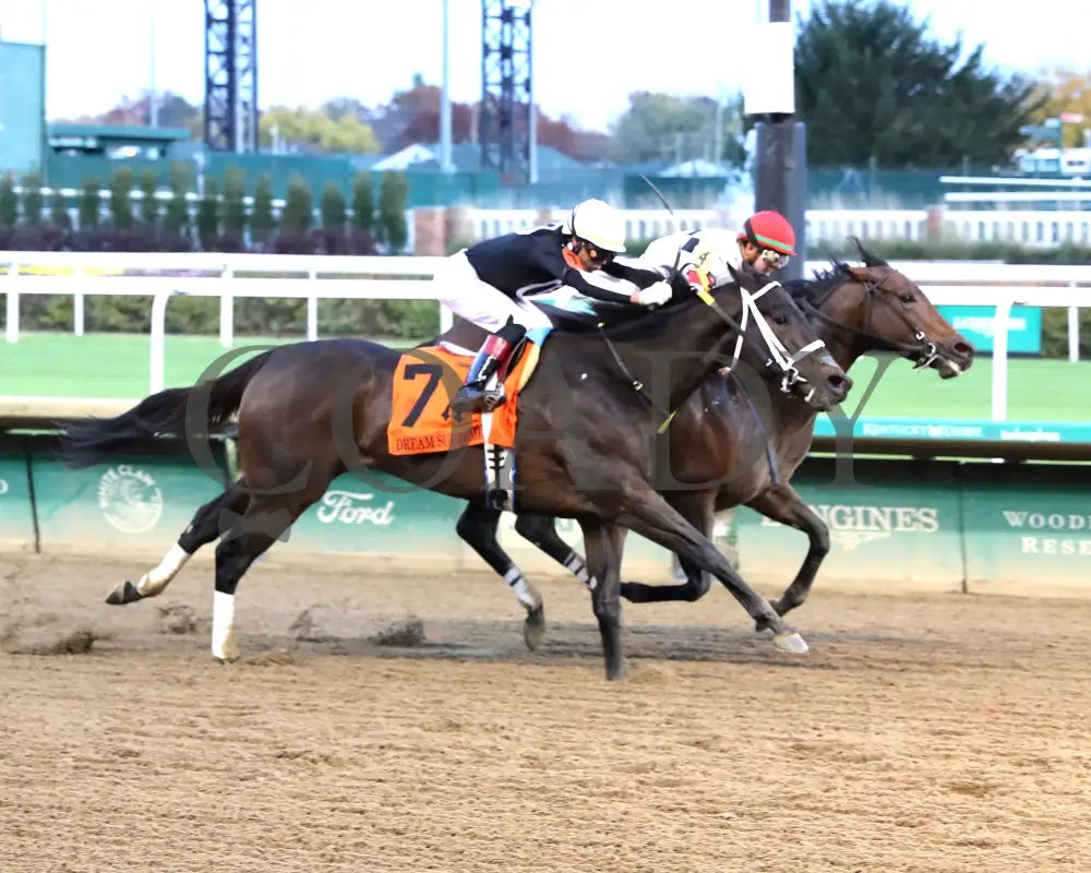 HILLERITO - 110825 - Race 10 - CD - Finish 01 Churchill Downs