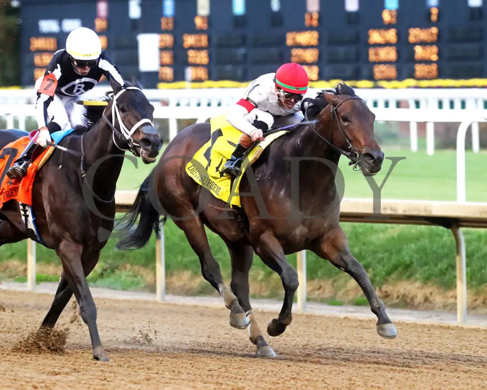 HILLERITO - 110825 - Race 10 - CD - Finish 02 Churchill Downs