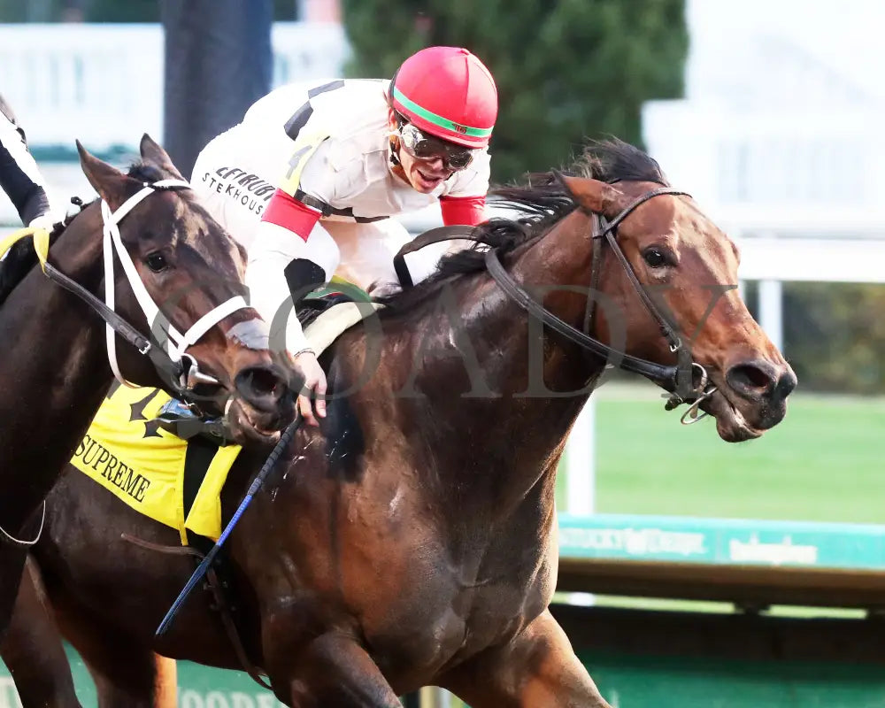 HILLERITO - 110825 - Race 10 - CD - Tight Finish 02 Churchill Downs