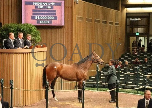 Hip 110 - 001 110810 Keeneland