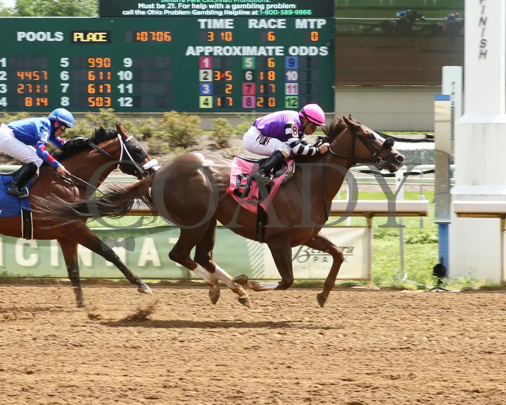 Hip Hooray - Palacios Memorial Stake 06-07-24 R06 Btp Finish 01 Belterra Park