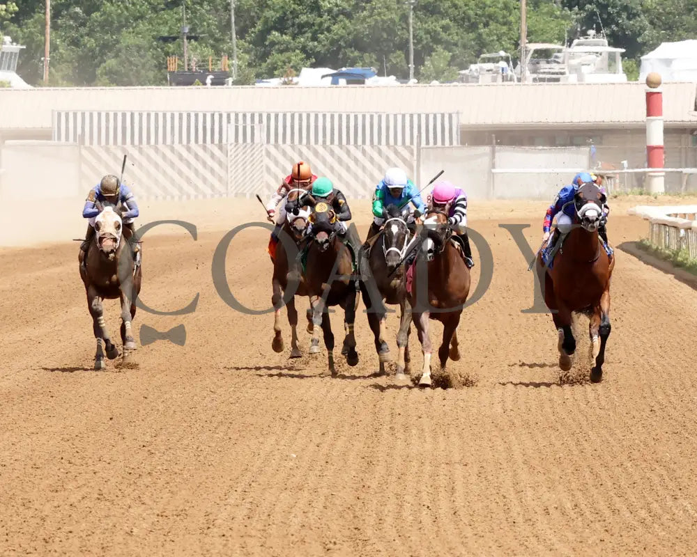 Hip Hooray - Palacios Memorial Stake 06-07-24 R06 Btp Head On 01 Belterra Park