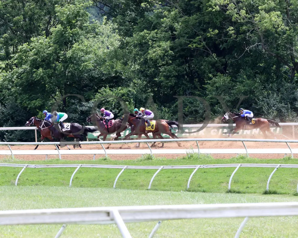 Hip Hooray - Palacios Memorial Stake 06-07-24 R06 Btp Start 01 Belterra Park