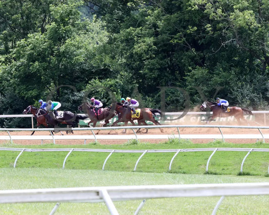Hip Hooray - Palacios Memorial Stake 06-07-24 R06 Btp Start 01 Belterra Park