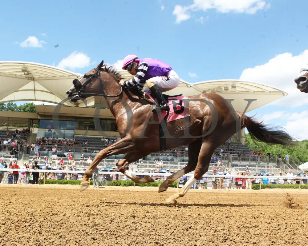 Hip Hooray - Palacios Memorial Stake 06-07-24 R06 Btp Under Rail 01 Belterra Park