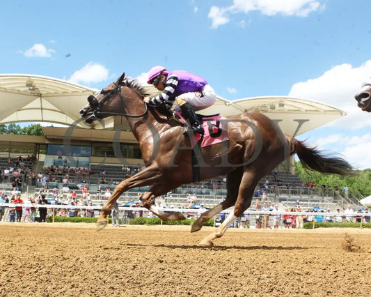Hip Hooray - Palacios Memorial Stake 06-07-24 R06 Btp Under Rail 01 Belterra Park
