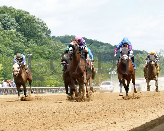 Hip Hooray - Palacios Memorial Stake 06-07-24 R06 Btp Under Rail 02 Belterra Park
