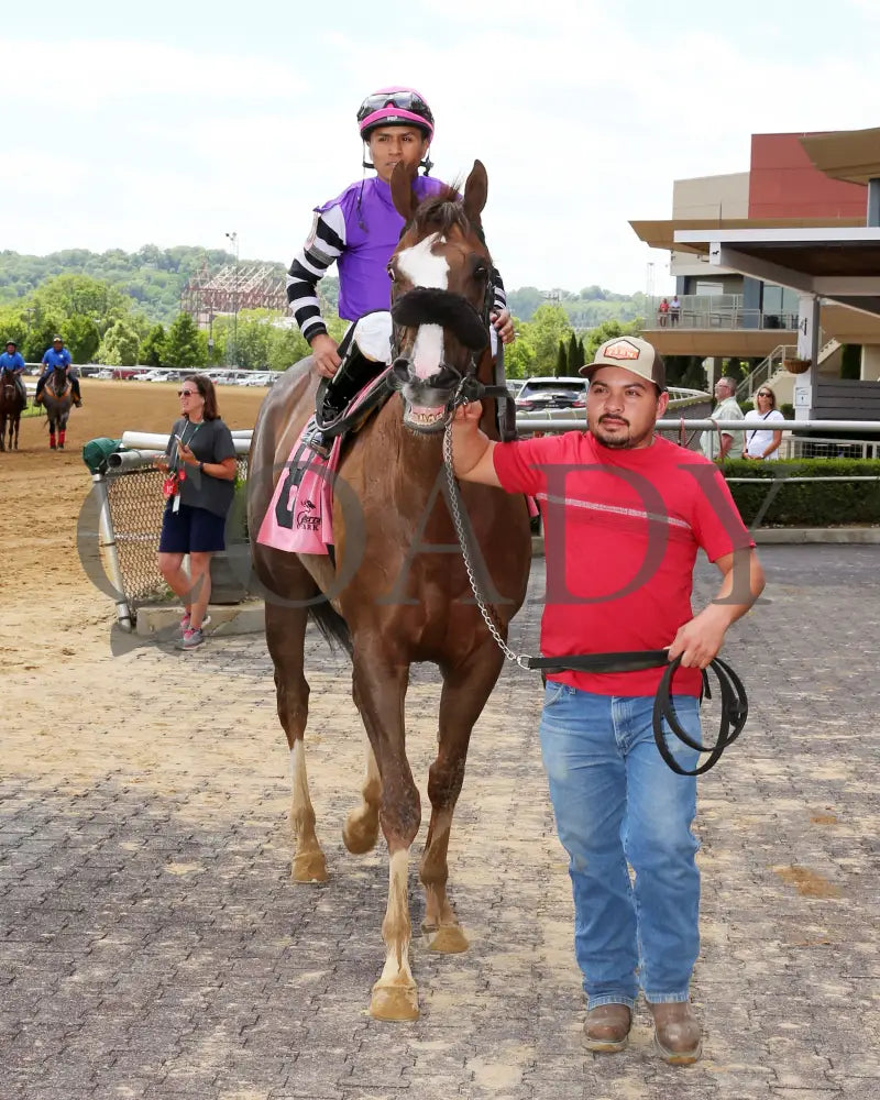Hip Hooray - Palacios Memorial Stake 06-07-24 R06 Btp Walk In 01 Belterra Park
