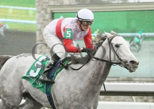 Hit It Rich - 1 101311 Race 02 Keeneland