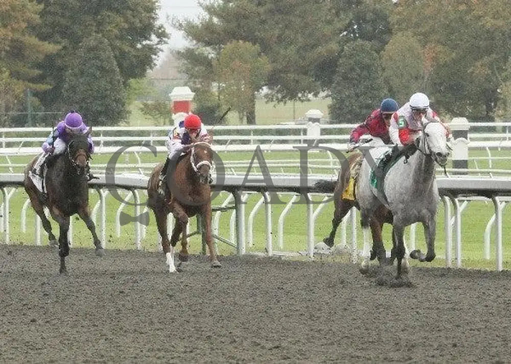 Hit It Rich - 2 101311 Race 02 Keeneland