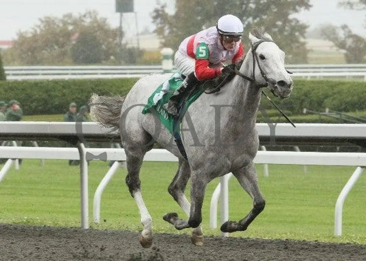 Hit It Rich - 3 101311 Race 02 Keeneland