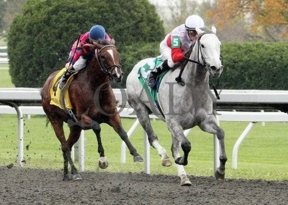 Hit It Rich - 4 101311 Race 02 Keeneland