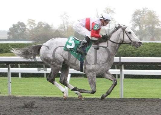 Hit It Rich - 5 101311 Race 02 Keeneland