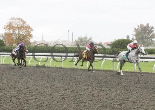 Hit It Rich - 6 101311 Race 02 Keeneland