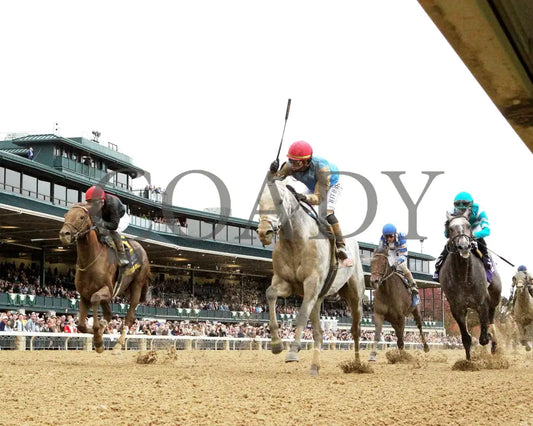 HIT SHOW - 102525 - Race 09 - KEE - Under Rail 01 Keeneland