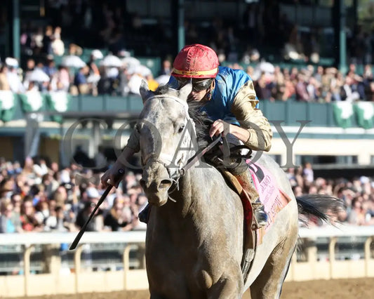 Hit Show - 102624 Race 08 Kee Inside Finish 01 Keeneland