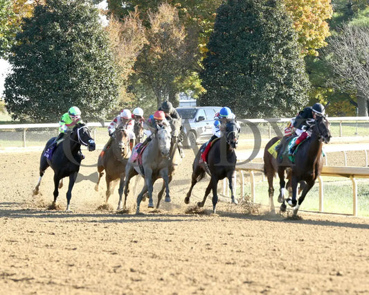 Hit Show - 102624 Race 08 Kee Turn 01 Keeneland