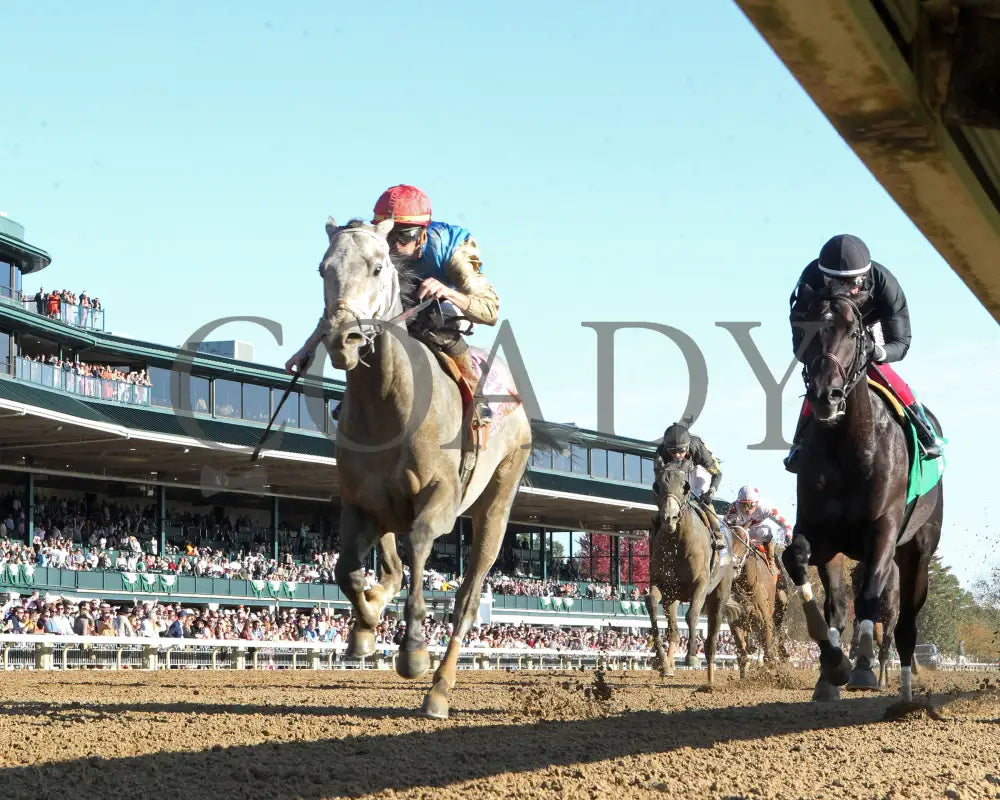 Hit Show - 102624 Race 08 Kee Under Rail 01 Keeneland