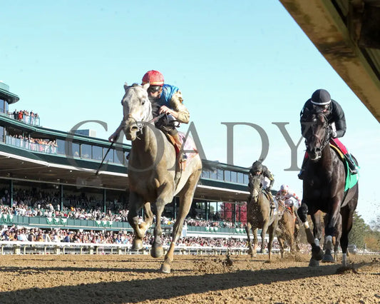 Hit Show - 102624 Race 08 Kee Under Rail 01 Keeneland